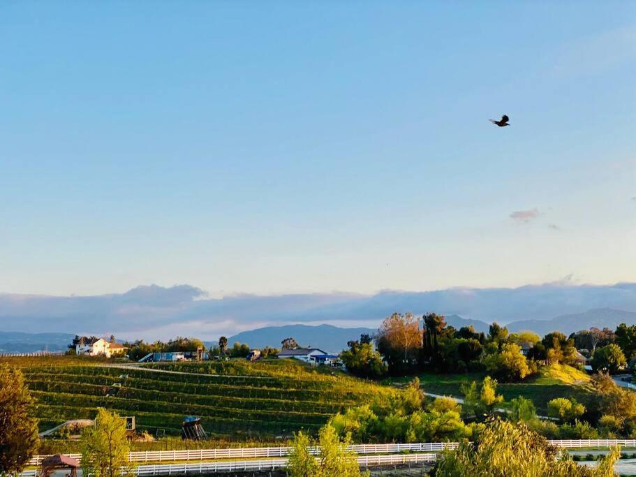 Que Syrah Temecula - Villa With 9 Bedroom 7 Ba With Spa In Wine Country Ngoại thất bức ảnh