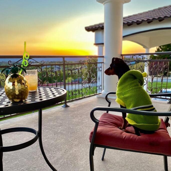 Que Syrah Temecula - Villa With 9 Bedroom 7 Ba With Spa In Wine Country Ngoại thất bức ảnh